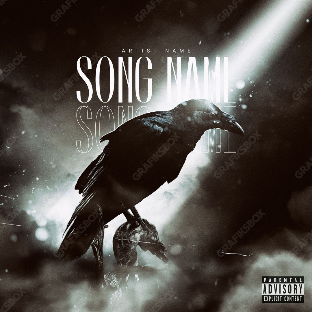 Night Raven cover art