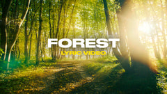 Forest (Lyric Video)