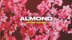 Almond (Lyric Video)