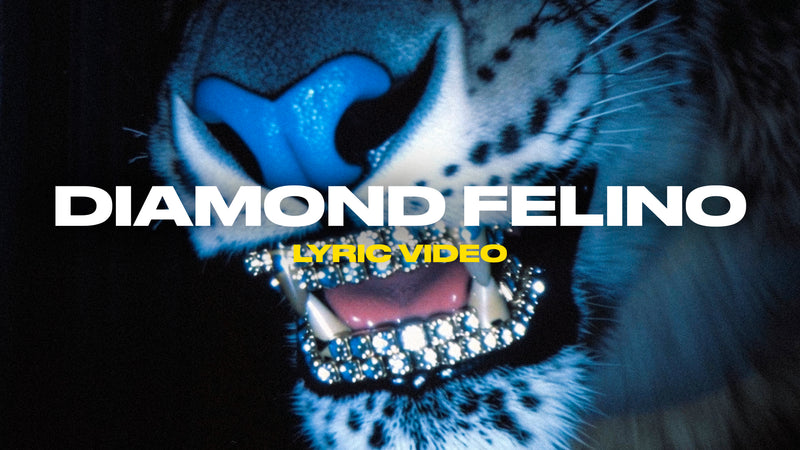 Diamond Felino (Lyric Video)
