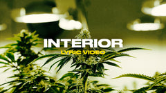 Interior (Lyric Video)