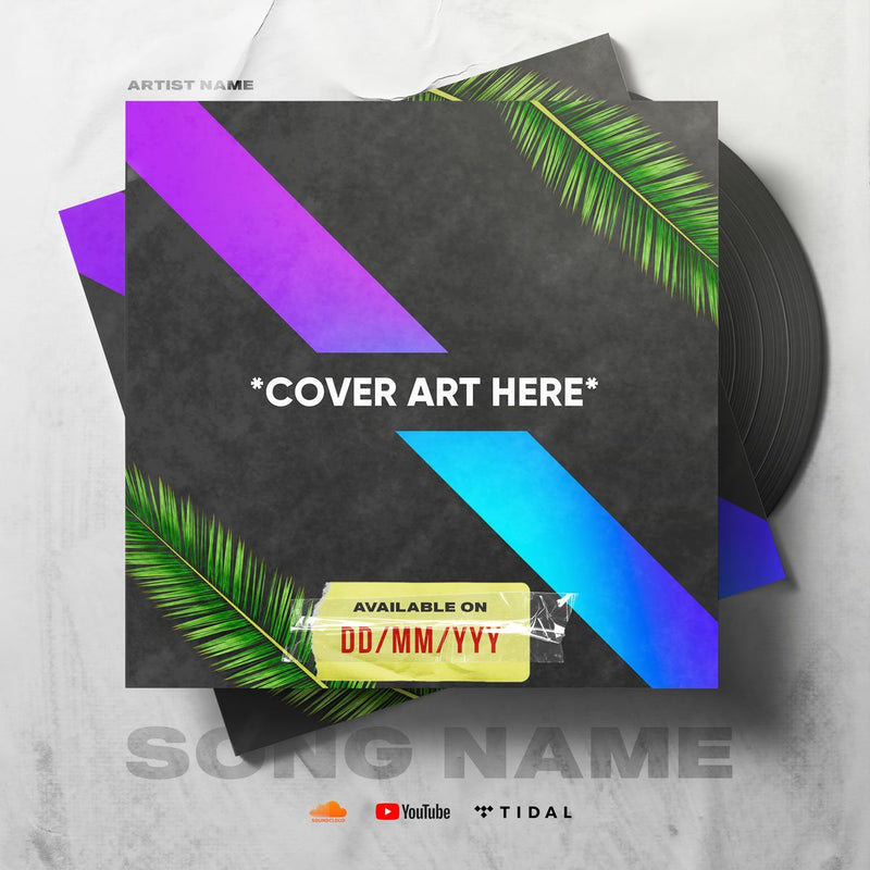 promo release template