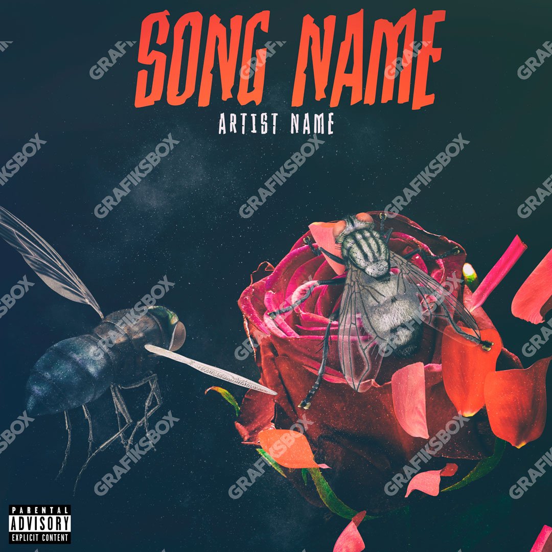 album cover art