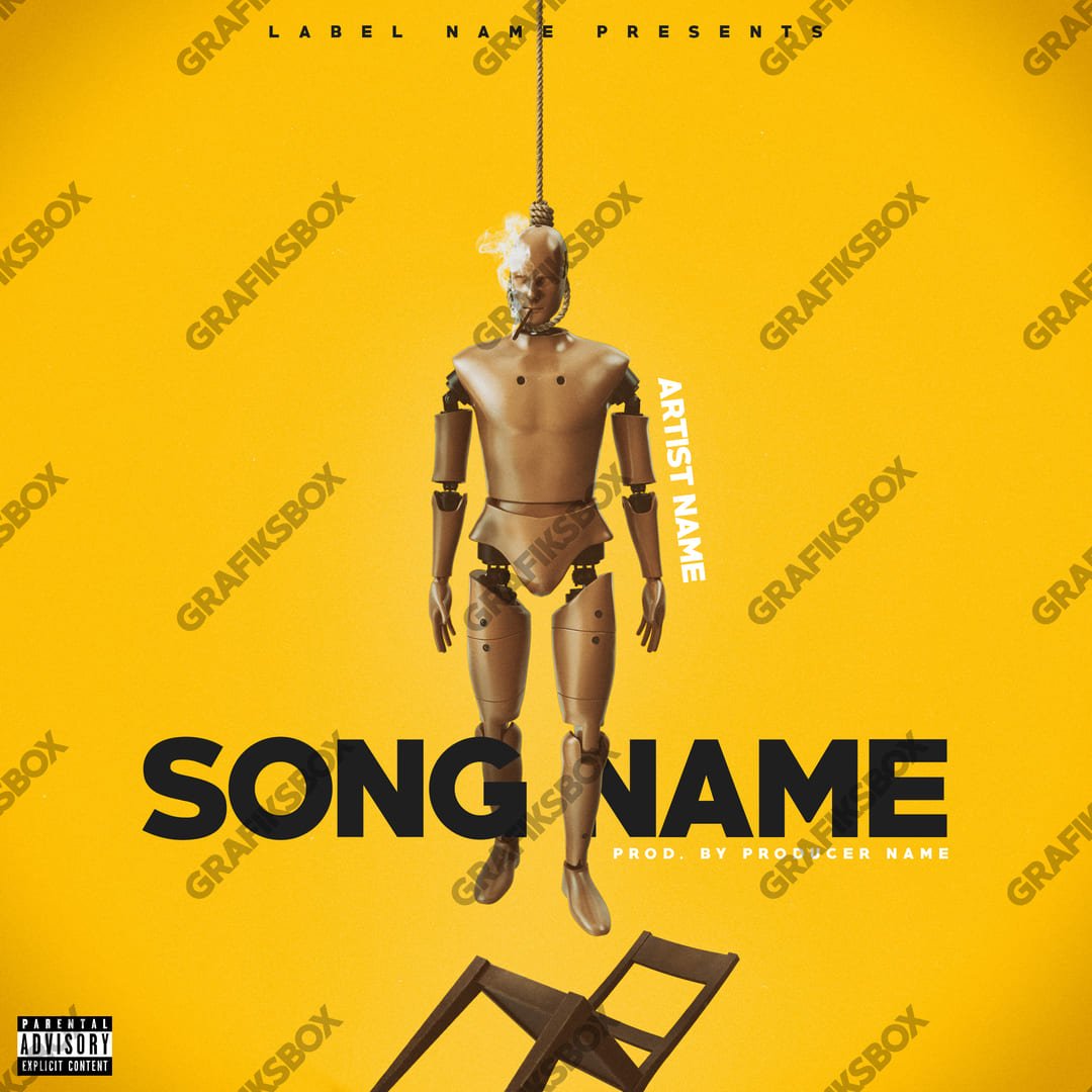 dummie cover art